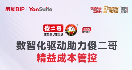 用友Yonsuite案例-消费品行业精益成本管控-傻二哥