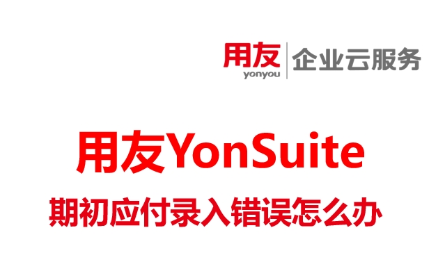 期初应付录入错误怎么办-用友Yonsuite服务中心