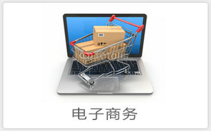 用友电子商务管理